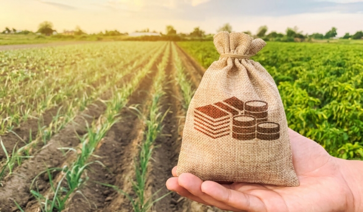 Three Important Things To Keep In Mind Before Filling ITR If You Have Agricultural Income