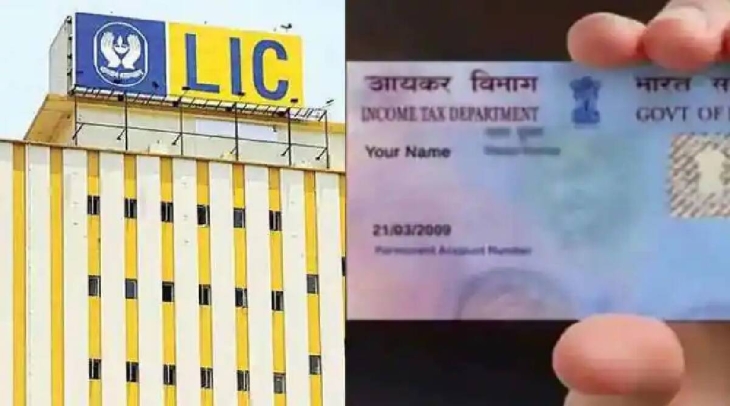 Life Insurance Corporation Of India Makes Mandatory PAN Linking Before Investing In LIC IPO