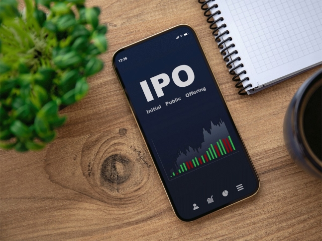 Want To Invest In LIC IPO? You Can Easily Apply By Using UPI