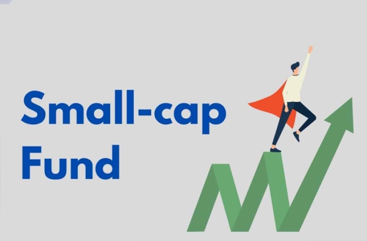 Everything You Need to Know About Small-Cap Funds