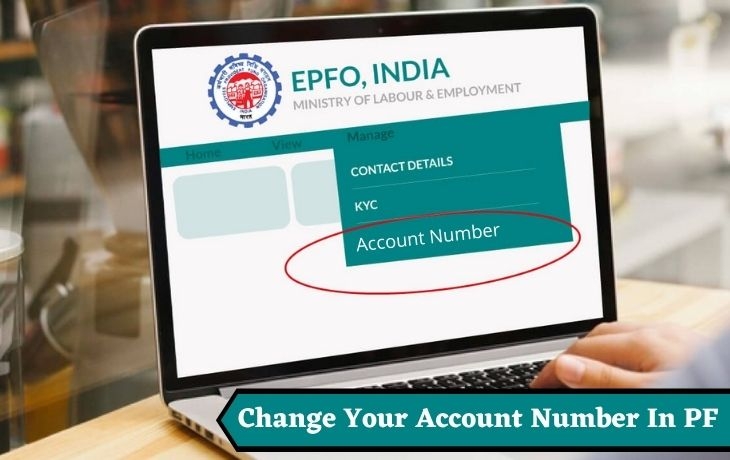 Do You Want To Change Your Account Number In PF? Then Check Out Here How To Do It