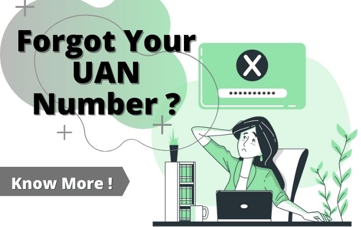 Forgot Your UAN Number? Then Below Are Points To Know About It