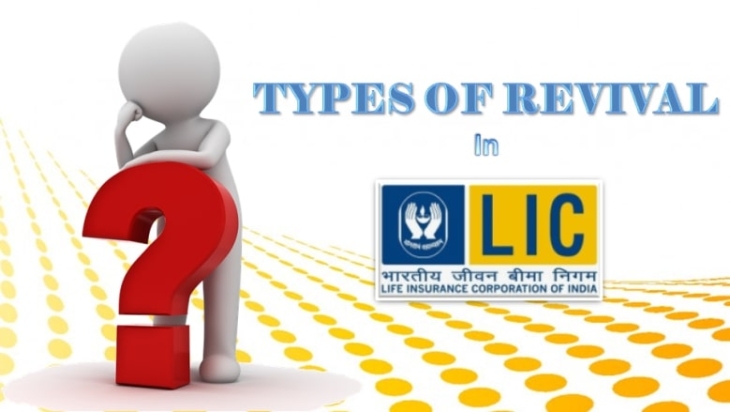 Is Your LIC Policy Has Lapsed? Check The Details & Process To Revive It Easily