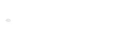 PaisaBulls Logo